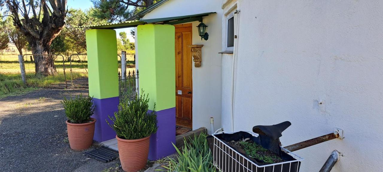Purple House B&B Smithfield Εξωτερικό φωτογραφία